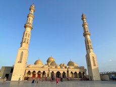 Mešita větší